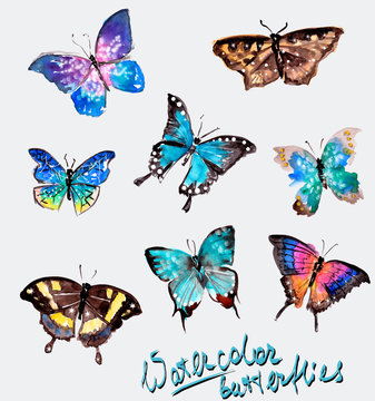 Watercolor Butterflies Clip Art. Colorful Cute Design. Isolated and Bright Elements. Hand Painted Illustration. Spring Summer Season Concept. Card Decoration Set 