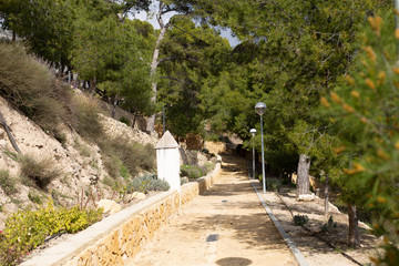 Pine trees along a cobblestone walkway in a recreation area, a park of the city of Relleu in the province of Alicante, Spain.