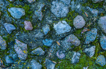 Rock surface stone texture grungy stones on ground as background toned in cold blue colors