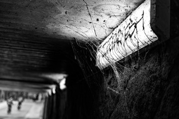 Creepy spiders in a tunnel