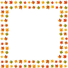 Frame design decorated with colored autumn maple leaves. Creative fall season concept with blank text space.