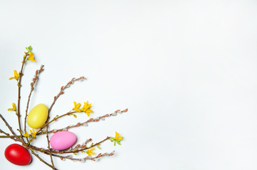 Easter composition. The border is made of branches of forsythia with yellow flowers, willow with fluffy buds and colored eggs on a white background. Free space.