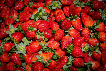 Organic farm fresh strawberries