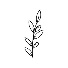 Hand drawn olive branch isolated on a white background. Doodle, simple outline illustration. It can be used for decoration of textile, paper and other surfaces.