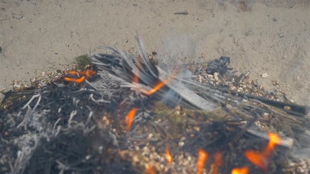 Burning fire and ashes on the ground in slow motion style.