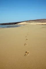 Cercles muraux Plage de Sotavento, Fuerteventura, Îles Canaries Plage de Sotavento à Fuerteventura avec un seul ensemble d& 39 empreintes sur le sable