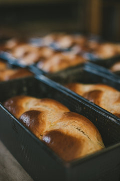 Brioches &agrave; la sortie du four