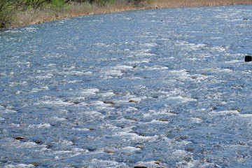 春の加治川