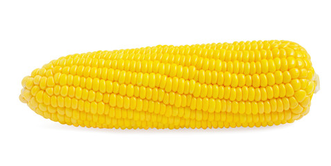 Corn isolated on white background.