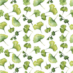 ginko biloba pattern watercolor hand-drawn on a white background elements separately green leaves flora plants healing herbs spring
