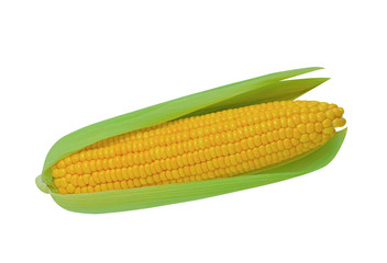 Single corn isolated on white background .