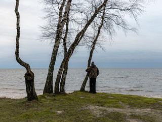 seascape with trees, sea shore