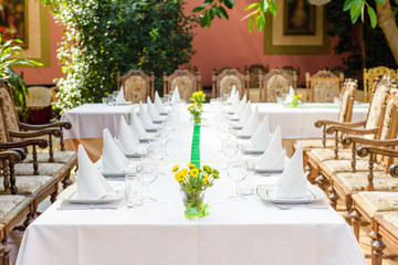 Long served table with plates, glasses, napkins and chairs