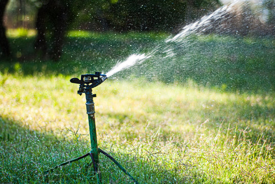 Aspersor regando con fuerza sobre hierba verde