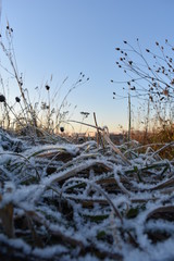 winter sunrise in the mountains