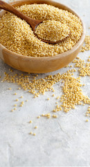 Raw dry hulled millet in a wooden bowl with a spoon