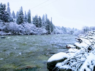 The river blows falling snow while trees and stones catch it