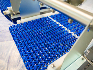 Blue mesh grille on the conveyor. Food industry. Packaging line in food production. Production automation. Processing food without human intervention. Remote control of the production process.