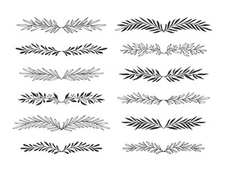 Collection of doodle floral dividers and vines for holiday design. Botanical illustration style. Vector isolated. - 324205424