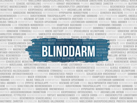 Blinddarm