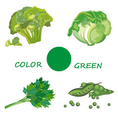  Fresh vegetables, vegetarianism. Vector illustration. - 324207601