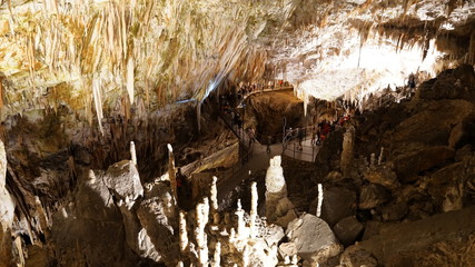 Postojna caves are beautiful. Cave landscapes in Adelsberg, Slovenia.