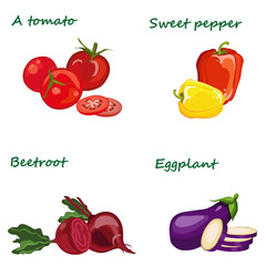  Fresh vegetables, vegetarianism. Vector illustration. - 324208245