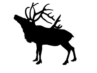 Black silhouette of a reindeer with horns standing in profile.