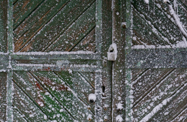 Old wooden gate with peeling green paint and padlock after a snowfall
