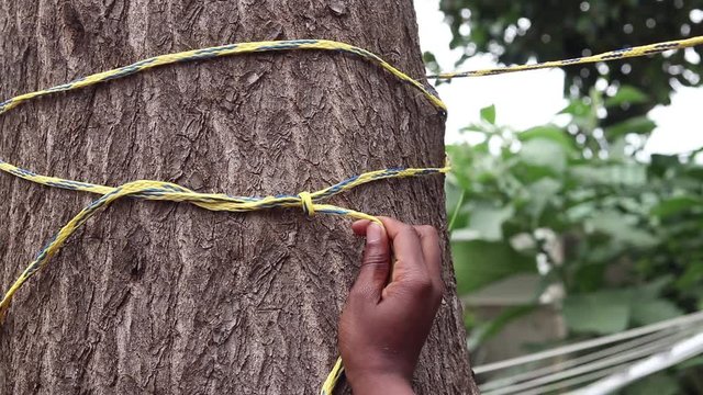 tying a rope to a tree