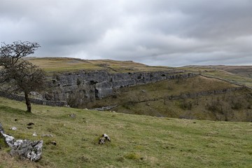 Pastureland view of Malham Cove, Malhamdale, Yorkshire Dales