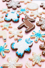 Obraz na płótnie Canvas Christmas cookies