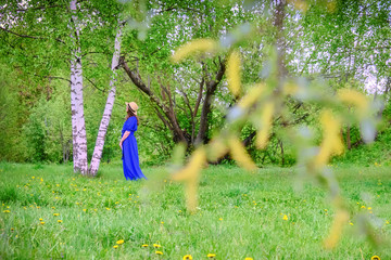 A girl in a blue dress stands near a birch in a spring forest