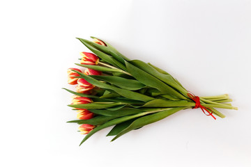 large bouquet of fresh beautiful orange tulips on a white background.