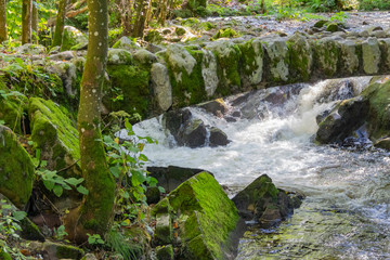 around Vologne river