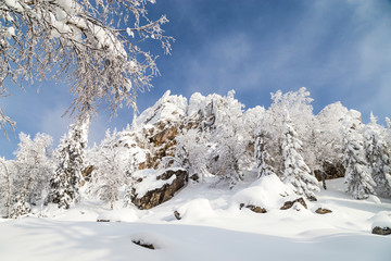 Winter in the mountains