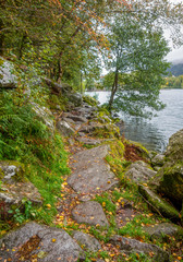 around Lac de Gerardmer in France