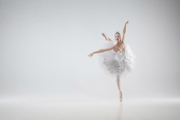 Winter alive. Young graceful classic ballerina dancing on white studio background. Woman in tender clothes like a white swan. The grace, artist, movement, action and motion concept. Looks weightless.
