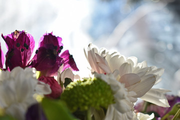Obraz na płótnie Canvas spring bouquet of fresh wild flowers