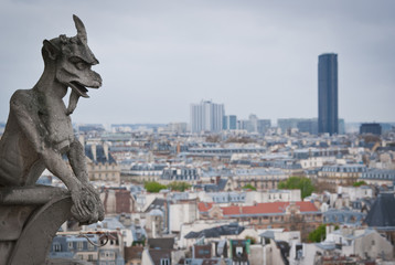 Gargoyle on the roof of Notre Dame in Paris, France. Great city view.
