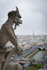 Gargoyle on the roof of Notre Dame in Paris, France. Great city view.