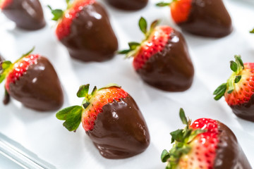 Chocolate dipped strawberries