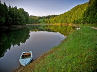 Fototapeta premium forest