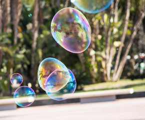 Soap bubbles in Plaza de la Marina de Malaga