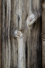 Holzmaserung