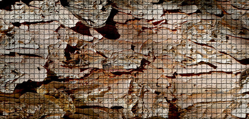 Tree wooden surface background texture