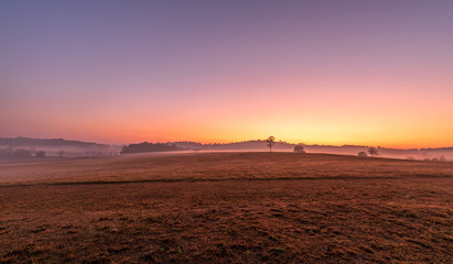 sunlight and fog in Phu Khieo Wildlife Sanctuary