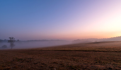 sunlight and fog in Phu Khieo Wildlife Sanctuary