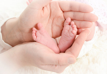 Obraz na płótnie Canvas pies de recién nacido cogidos entre las manos de mamá