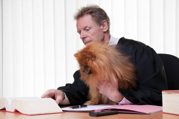 Judge or lawyer reading in a statute book with his dog in a bright courtroom